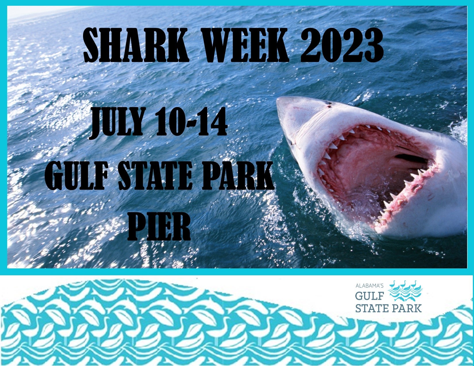 Shark Week Alapark